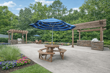 Picnic area1